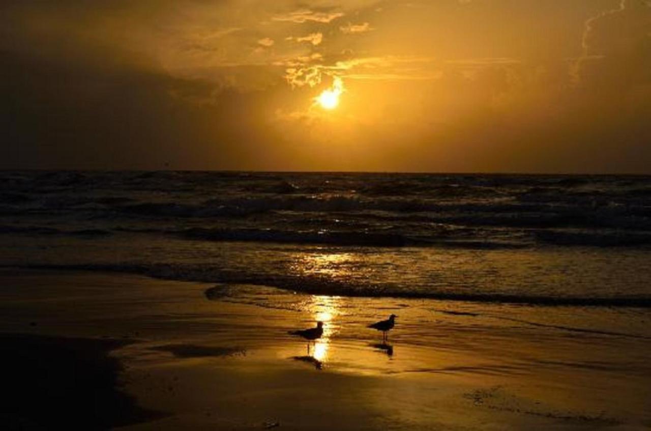 Affordable Family Condo -Walking Distance To Beach By Mustang Island, Sleeps Four, 2025 Traveler Award Corpus Christi Exteriör bild