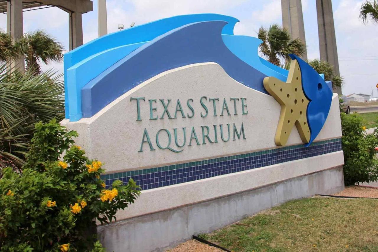 Affordable Family Condo -Walking Distance To Beach By Mustang Island, Sleeps Four, 2025 Traveler Award Corpus Christi Exteriör bild